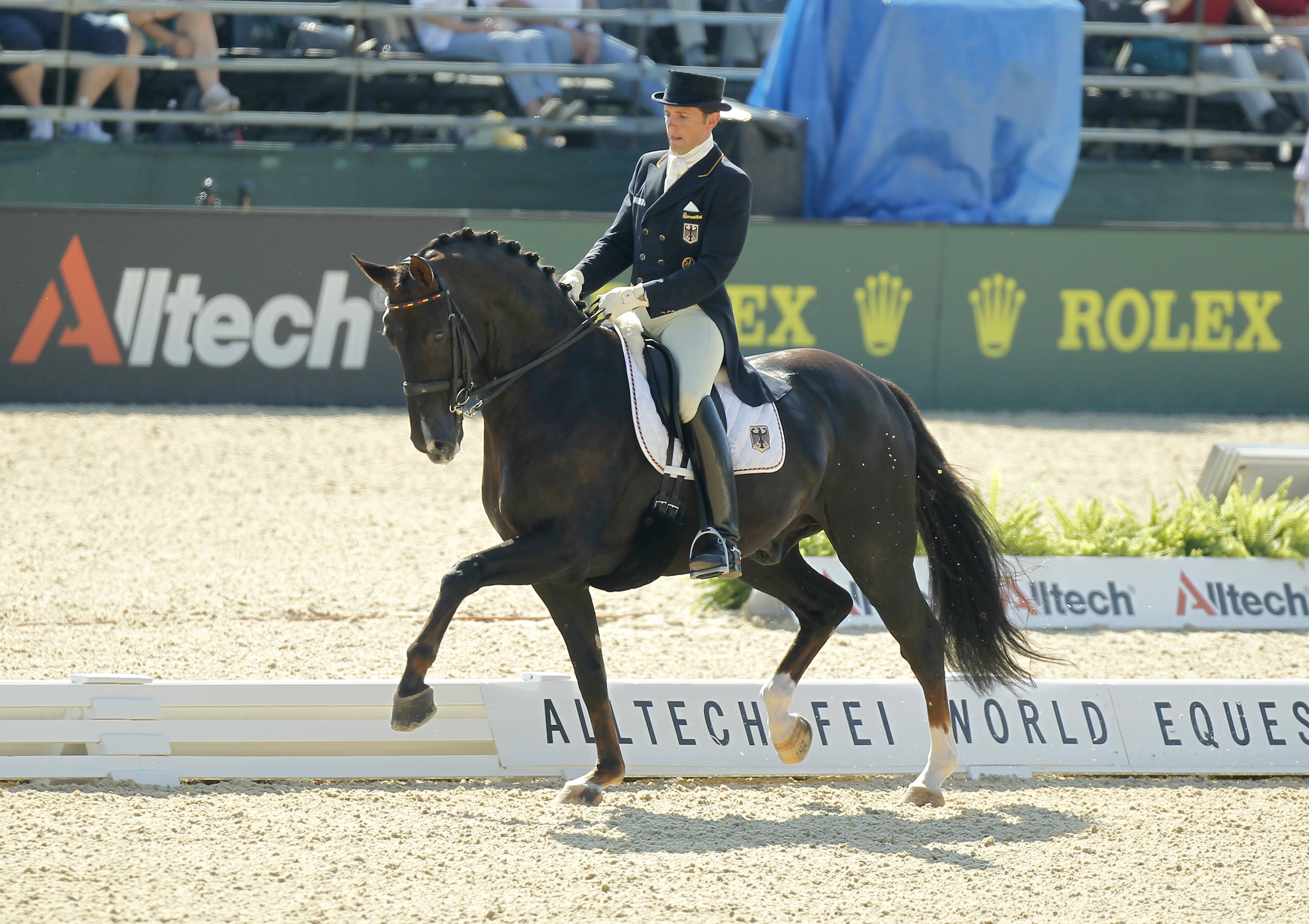 Images of 馬場馬術 JapaneseClass.jp